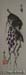 Grape Vine I